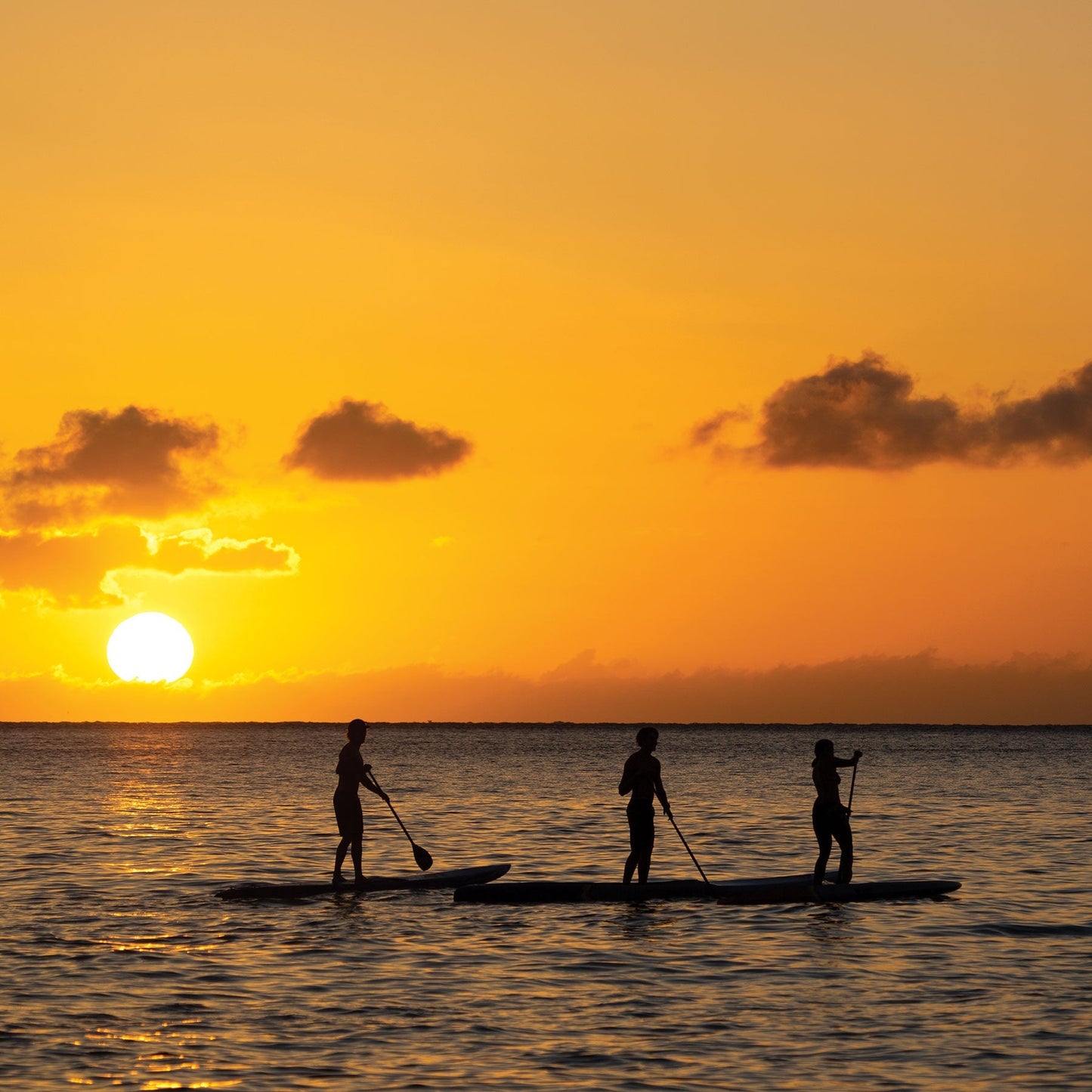 ocean-and-earth-SUP-coil-leash-regular-ankle-black-galway-ireland-blacksheepsurfco-Stand-up-paddle-board